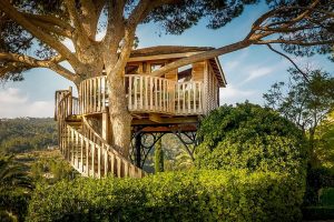 Treehouse-8-scaled.jpg